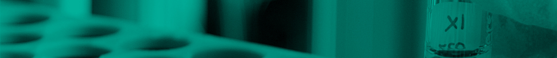 API PRODUCT LIST Banner